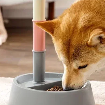 Automatische Voerbak voor Honden en Katten – Met Waterdispenser & Verhoogde Standaard