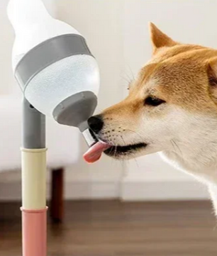 Automatische Voerbak voor Honden en Katten – Met Waterdispenser & Verhoogde Standaard