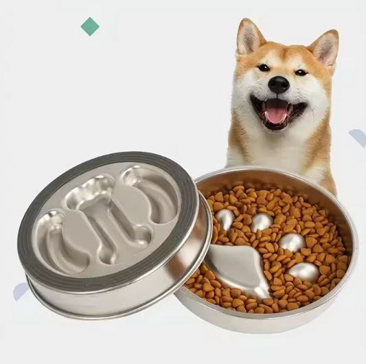 Verhoogde Roestvrijstalen Voerbak – Ergonomisch & Antislip, Voor Hond en Kat