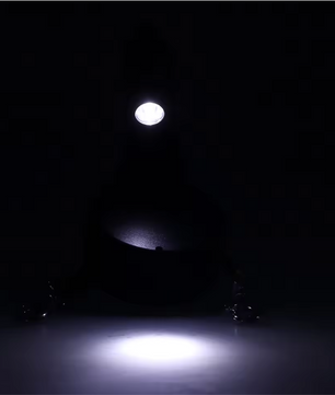 Dubbele Intrekbare Hondenriem – Met LED-licht & Tasdispenser, Voor 2 Honden