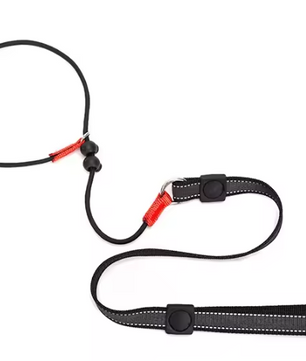 Hondentraining Slipriem – 2-in-1 Halsband & Lijn, 150 cm