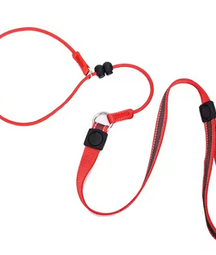 Hondentraining Slipriem – 2-in-1 Halsband & Lijn, 150 cm