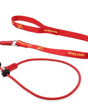 Hondentraining Slipriem – 2-in-1 Halsband & Lijn, 150 cm