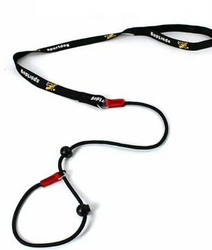 Hondentraining Slipriem – 2-in-1 Halsband & Lijn, 150 cm