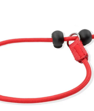 Hondentraining Slipriem – 2-in-1 Halsband & Lijn, 150 cm