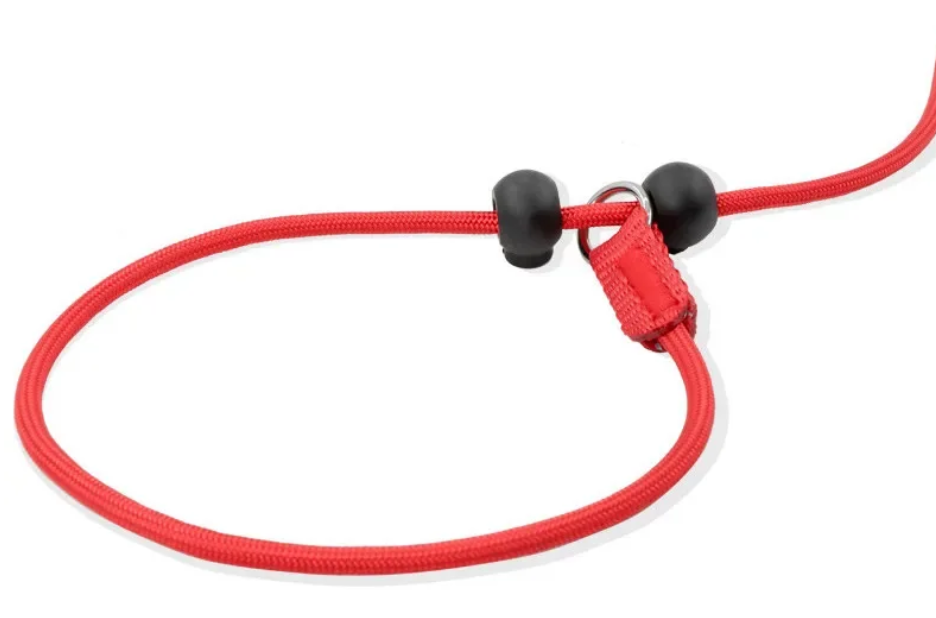 Hondentraining Slipriem – 2-in-1 Halsband & Lijn, 150 cm