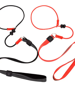 Hondentraining Slipriem – 2-in-1 Halsband & Lijn, 150 cm