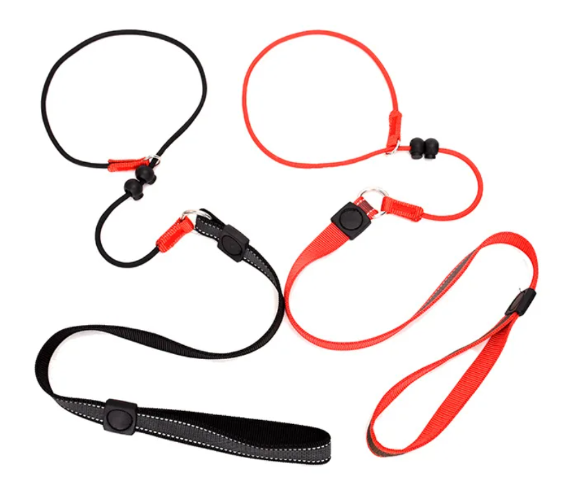 Hondentraining Slipriem – 2-in-1 Halsband & Lijn, 150 cm