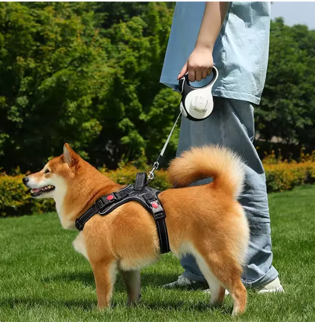 Automatische Intrekbare Hondenriem – 5M/8M met LED & Kakzakhouder