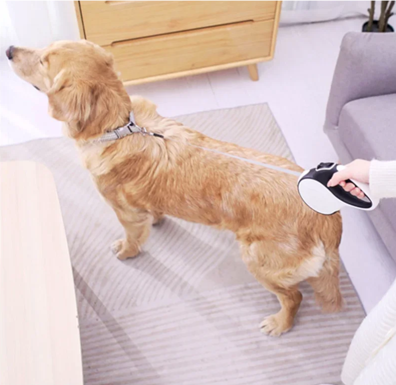 Automatische Intrekbare Hondenriem – 5M/8M met LED & Kakzakhouder