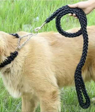 Sterke Nylon Hondenriem – Gevlochten Trekkabel voor Middelgrote & Grote Honden