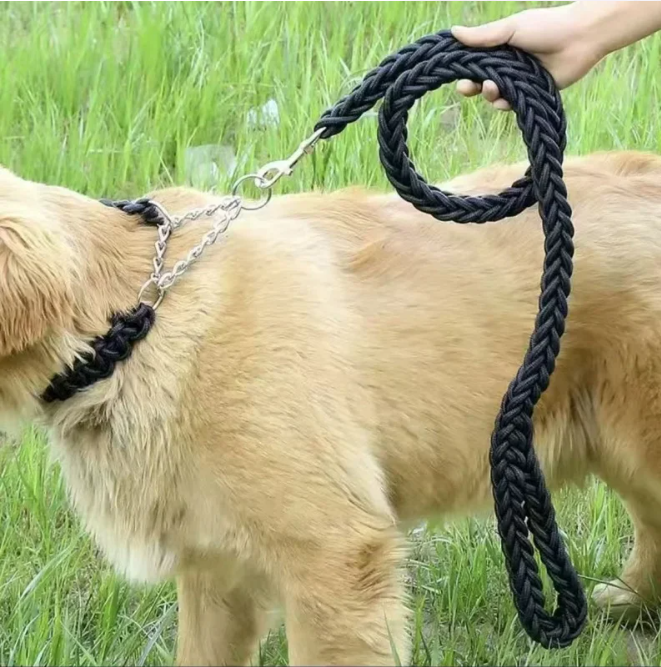Sterke Nylon Hondenriem – Gevlochten Trekkabel voor Middelgrote & Grote Honden