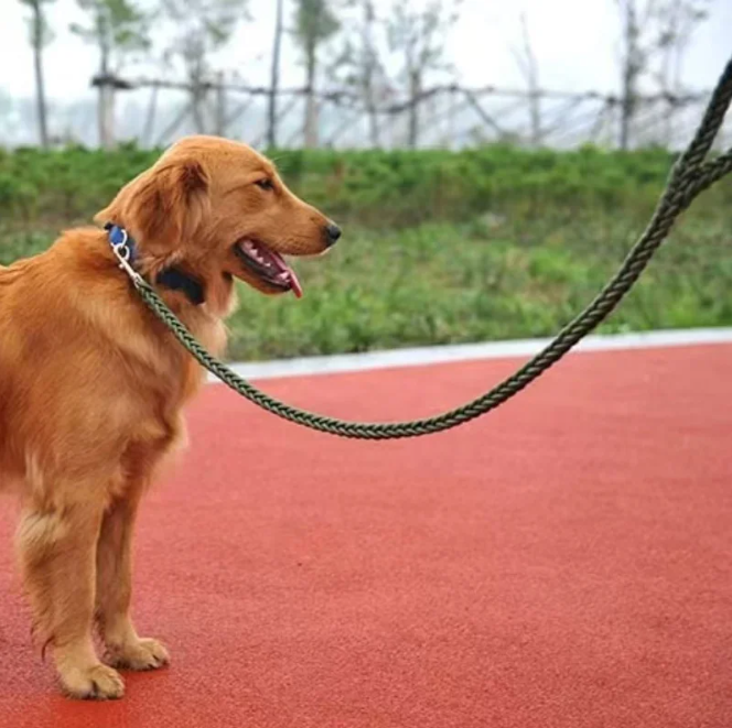 Sterke Nylon Hondenriem – Gevlochten Trekkabel voor Middelgrote & Grote Honden