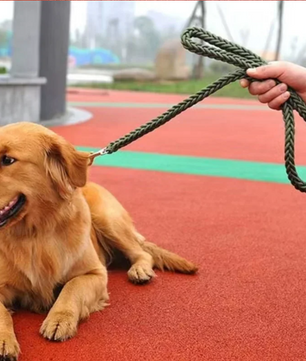 Sterke Nylon Hondenriem – Gevlochten Trekkabel voor Middelgrote & Grote Honden
