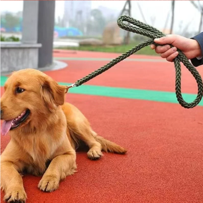Sterke Nylon Hondenriem – Gevlochten Trekkabel voor Middelgrote & Grote Honden