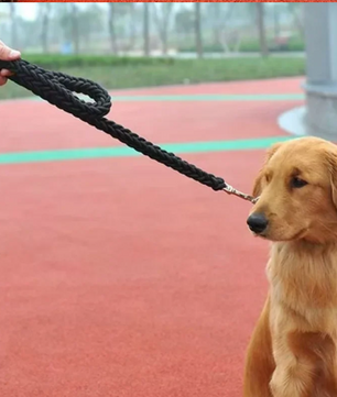 Sterke Nylon Hondenriem – Gevlochten Trekkabel voor Middelgrote & Grote Honden