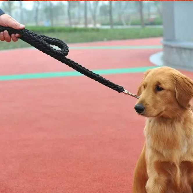 Sterke Nylon Hondenriem – Gevlochten Trekkabel voor Middelgrote & Grote Honden