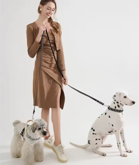 Handgemaakte Luxe Hondenriem – Stevig, Duurzaam & Kleurvol voor Middelgrote en Grote Honden