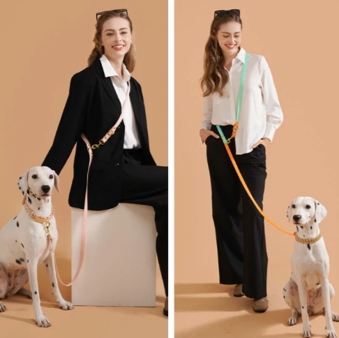 Handgemaakte Luxe Hondenriem – Stevig, Duurzaam & Kleurvol voor Middelgrote en Grote Honden