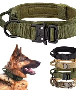 Tactische Nylon Hondenhalsband – Metalen Gesp & Ademend Ontwerp voor Middelgrote en Grote Honden