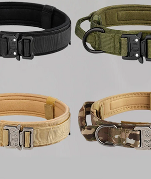 Tactische Nylon Hondenhalsband – Metalen Gesp & Ademend Ontwerp voor Middelgrote en Grote Honden