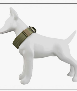 Tactische Nylon Hondenhalsband – Metalen Gesp & Ademend Ontwerp voor Middelgrote en Grote Honden