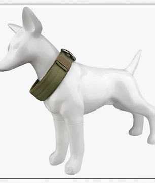 Tactische Nylon Hondenhalsband – Metalen Gesp & Ademend Ontwerp voor Middelgrote en Grote Honden