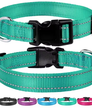 Reflecterende Nylon Hondenhalsband – Verstelbaar & Veilig voor Kleine en Middelgrote Honden