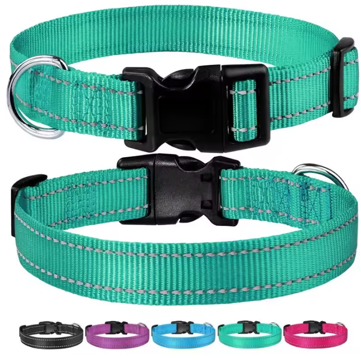 Reflecterende Nylon Hondenhalsband – Verstelbaar & Veilig voor Kleine en Middelgrote Honden