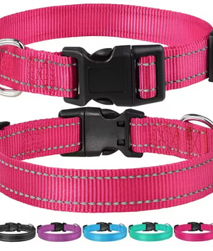 Reflecterende Nylon Hondenhalsband – Verstelbaar & Veilig voor Kleine en Middelgrote Honden