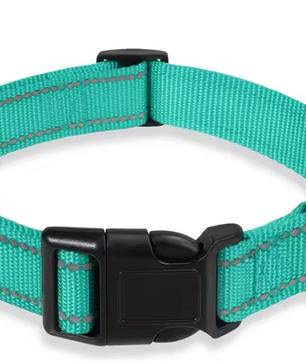 Reflecterende Nylon Hondenhalsband – Verstelbaar & Veilig voor Kleine en Middelgrote Honden