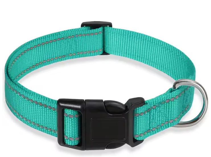 Reflecterende Nylon Hondenhalsband – Verstelbaar & Veilig voor Kleine en Middelgrote Honden