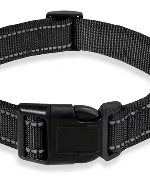Reflecterende Nylon Hondenhalsband – Verstelbaar & Veilig voor Kleine en Middelgrote Honden