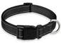 Reflecterende Nylon Hondenhalsband – Verstelbaar & Veilig voor Kleine en Middelgrote Honden