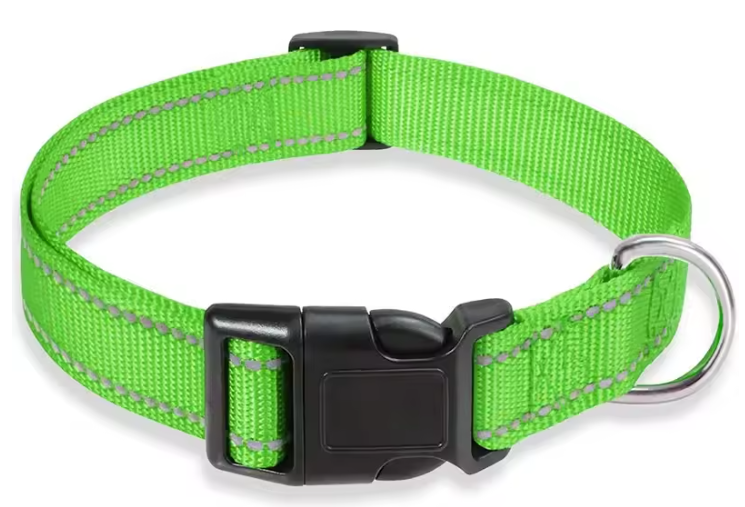 Reflecterende Nylon Hondenhalsband – Verstelbaar & Veilig voor Kleine en Middelgrote Honden