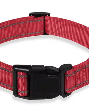 Reflecterende Nylon Hondenhalsband – Verstelbaar & Veilig voor Kleine en Middelgrote Honden