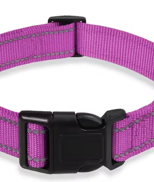 Reflecterende Nylon Hondenhalsband – Verstelbaar & Veilig voor Kleine en Middelgrote Honden