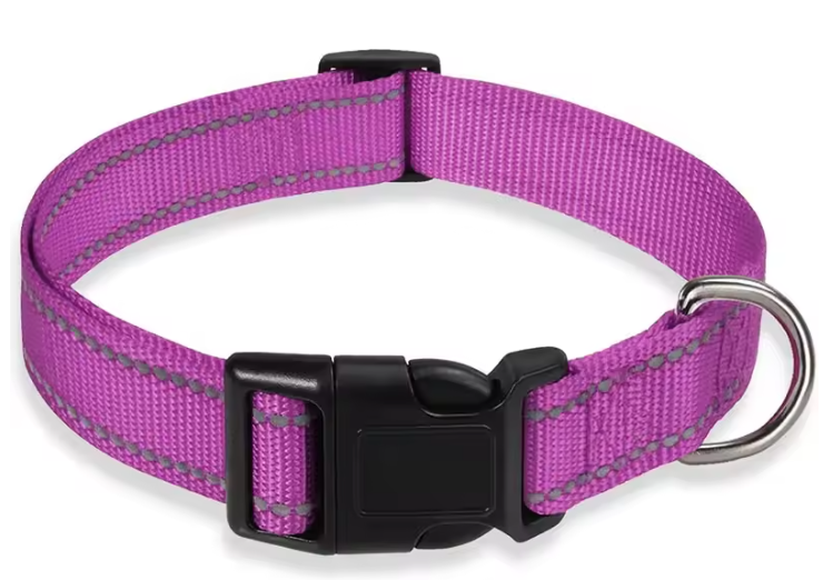 Reflecterende Nylon Hondenhalsband – Verstelbaar & Veilig voor Kleine en Middelgrote Honden