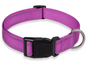 Reflecterende Nylon Hondenhalsband – Verstelbaar & Veilig voor Kleine en Middelgrote Honden