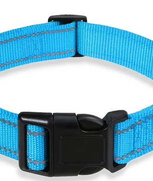 Reflecterende Nylon Hondenhalsband – Verstelbaar & Veilig voor Kleine en Middelgrote Honden