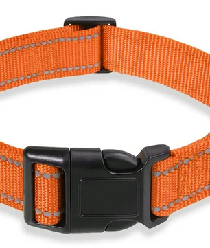 Reflecterende Nylon Hondenhalsband – Verstelbaar & Veilig voor Kleine en Middelgrote Honden
