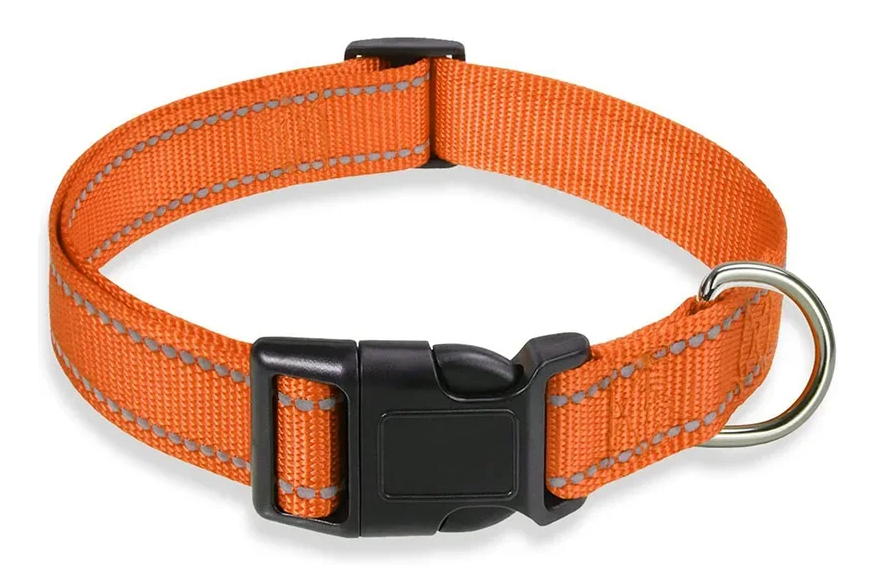 Reflecterende Nylon Hondenhalsband – Verstelbaar & Veilig voor Kleine en Middelgrote Honden