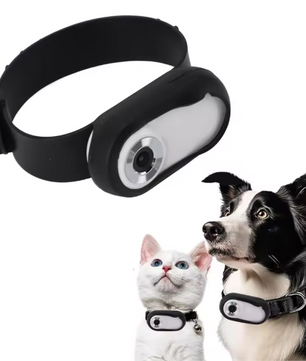 Huisdiercamera met Halsband – HD 1080P Video & Foto, LCD-scherm, Lichtgewicht en Draagbaar