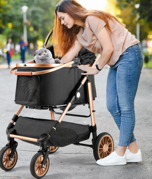 Hondenbuggy 2-in-1 – Opvouwbare Kinderwagen & Transporttas, Hoge Wielen 360°, Tot 25 kg