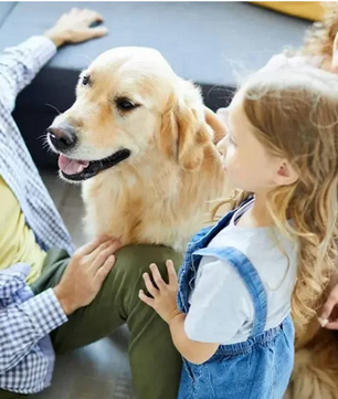 Anti-blaf Apparaat – Ultrasoon Honden Blaffschrikmiddel met 3 Niveaus, Oplaadbaar, Binnen & Buiten