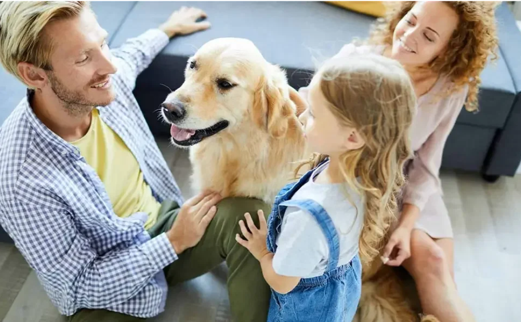 Anti-blaf Apparaat – Ultrasoon Honden Blaffschrikmiddel met 3 Niveaus, Oplaadbaar, Binnen & Buiten