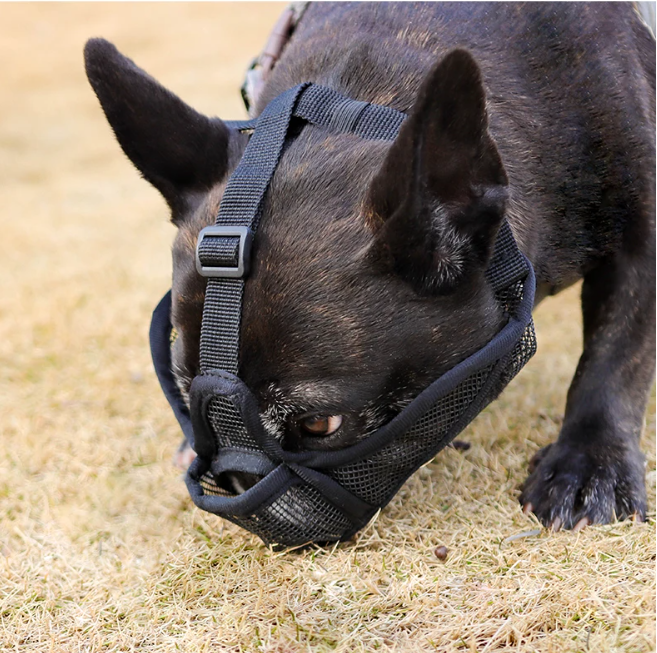 Ademende Hondensnuit – Anti-Bijt Snuit voor Bulldogs & Kortharige Rassen