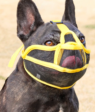 Ademende Hondensnuit – Anti-Bijt Snuit voor Bulldogs & Kortharige Rassen