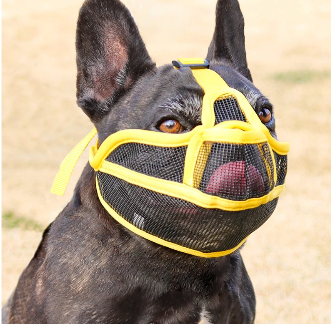 Ademende Hondensnuit – Anti-Bijt Snuit voor Bulldogs & Kortharige Rassen