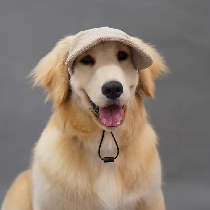 Verstelbare Hond Pet – Ademend Zonnehoedje met Oorgaten